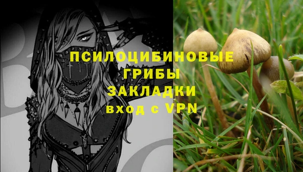 шишки Абинск