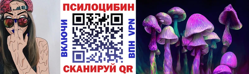 Псилоцибиновые грибы Psilocybe  Чекалин 